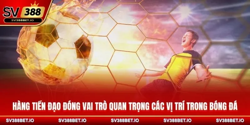 Sơ lược những vị trí cơ bản nhất của bộ môn túc cầu cho người mới xem