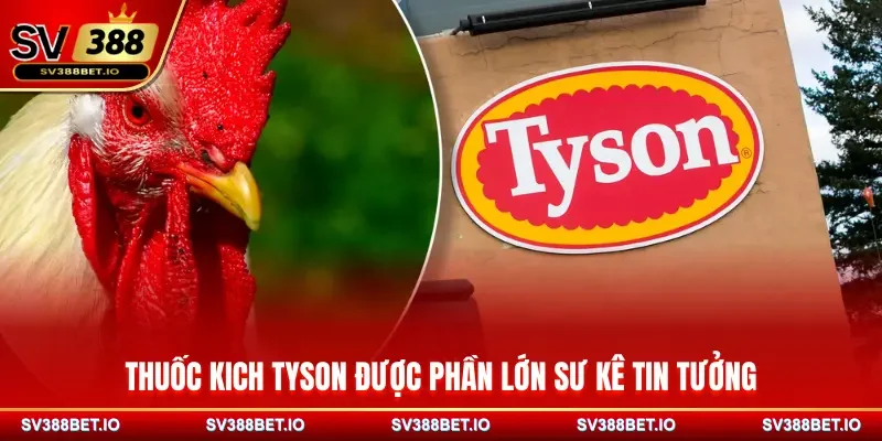 Thuốc tăng lực cho gà Kich Tyson được sư kê tin dùng